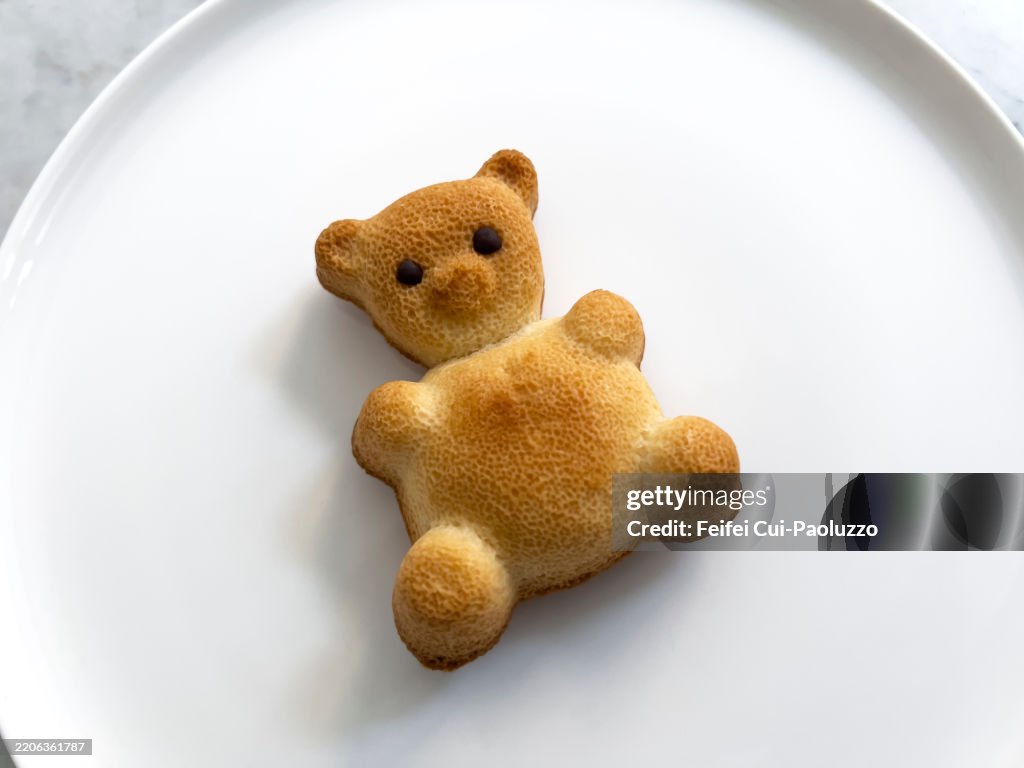 Teddy Bear Madeleine