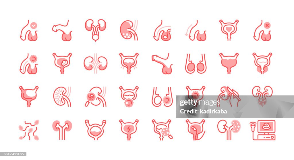 Urology line icon set. Group of object. Penis, bladder, prostate, cancer, oncology, cystitis, kidneys, erection, urinary.