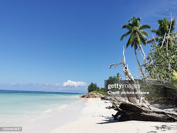 March 2025, Seychelles, Praslin: The Grand Anse beach on Praslin. Photo: Alexandra Schuler/dpa
