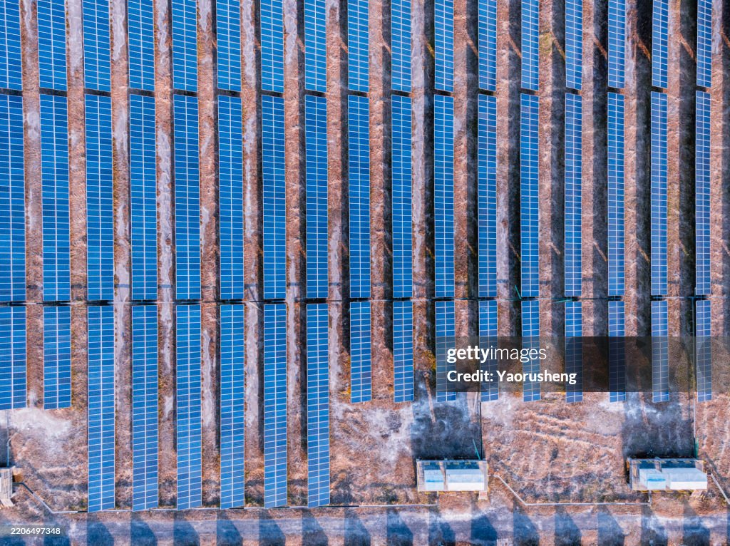 Solar Panels in a field at sunset