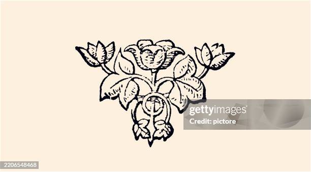design element: floral pattern xxxl - leaf epidermis stock illustrations