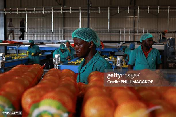 Packhouse Operative 289 Packhouse Stock Photos, High-Res Pictures, and Images - Getty Images
