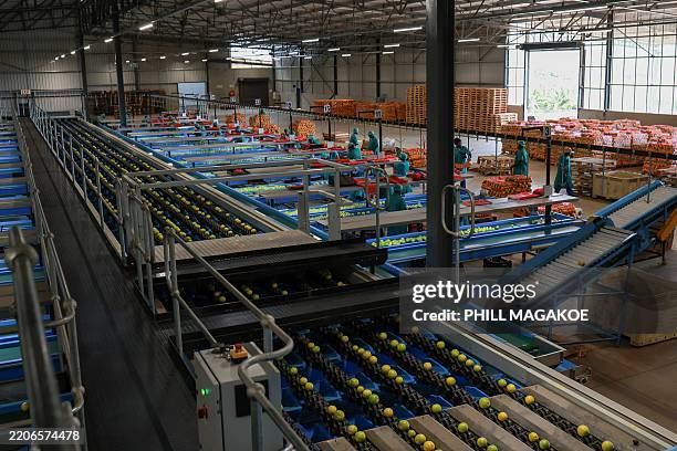 Packhouse Operative 289 Packhouse Stock Photos, High-Res Pictures, and Images - Getty Images