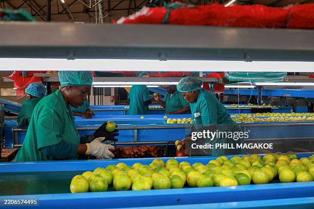 Packhouse Operative 289 Packhouse Stock Photos, High-Res Pictures, and Images - Getty Images