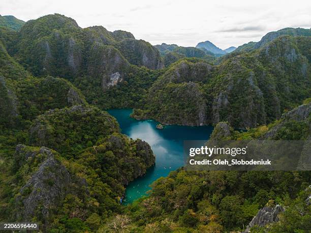 veduta aerea di lagune idilliache e mare turchese a twin lagoon, coron - filippino foto e immagini stock
