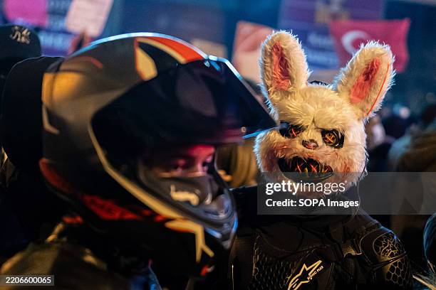 Red Rabbit Protest 601 The Square Rabbit Stock Photos, High-Res Pictures, and Images ...