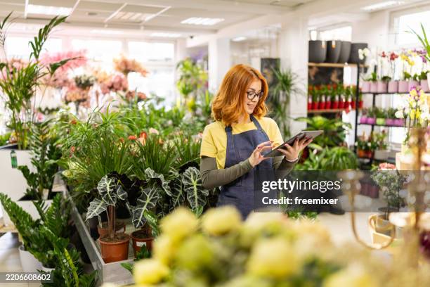 female botanist uses a digital tablet while working in a flower shop - flower shop worker stock pictures, royalty-free photos & images