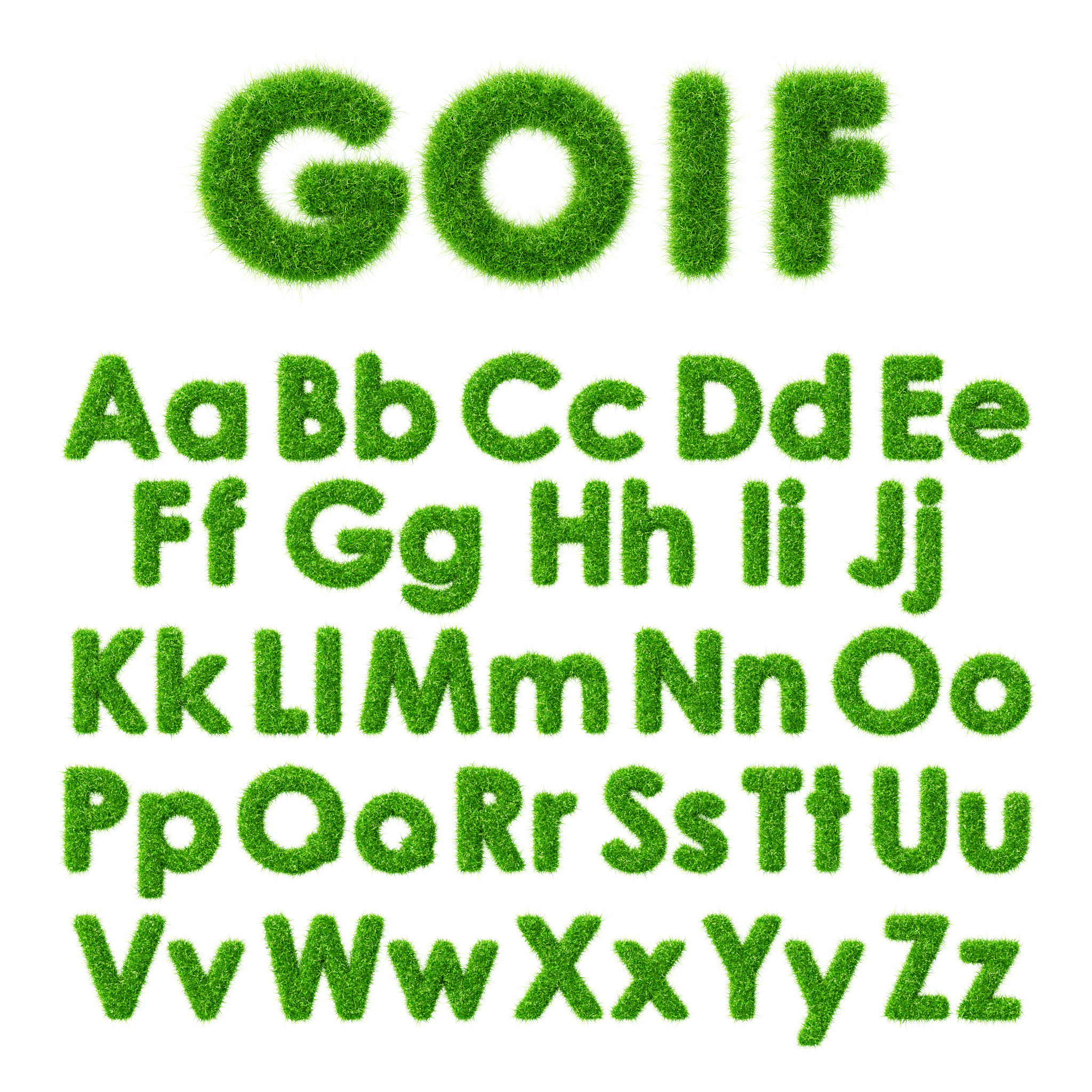 lawn types