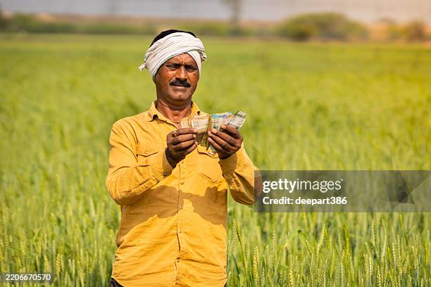 happy rural indian farmer counting money while standing in agriculture wheat field. - counting stock pictures, royalty-free photos & images