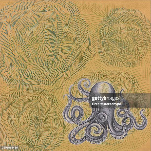 sketch octopus - veined octopus stock illustrations