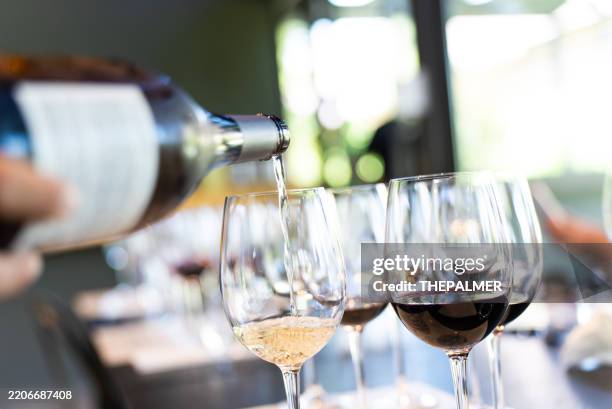 a sommelier serves a glass of wine - prova de vinho imagens e fotografias de stock