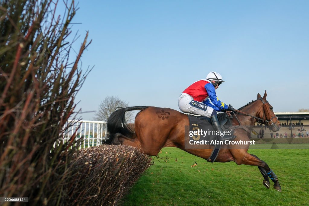 Wincanton Races