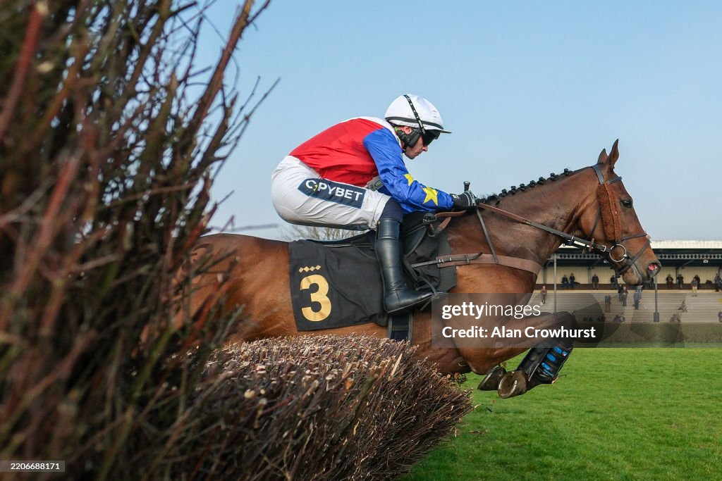 Wincanton Races