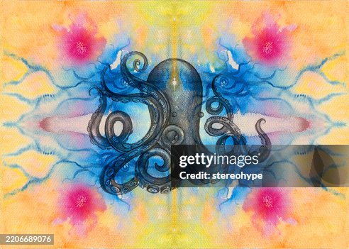 Octopus vision Octopus vision