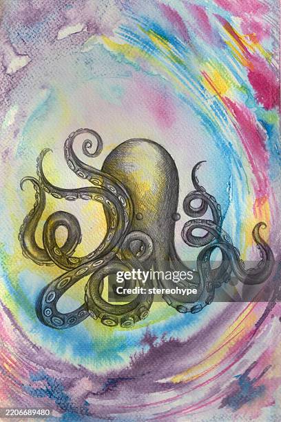 octopus cave - veined octopus stock illustrations