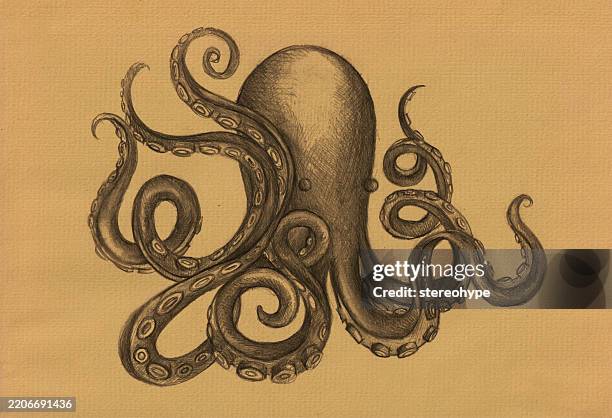 paper octopus - veined octopus stock illustrations