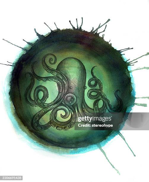 spun octopus - veined octopus stock illustrations
