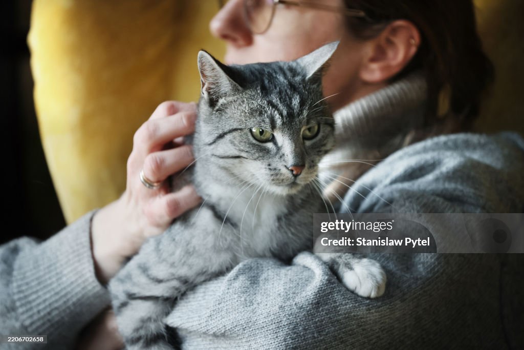 Woman in sweater holding and stroking her grey cat on yellow armchair