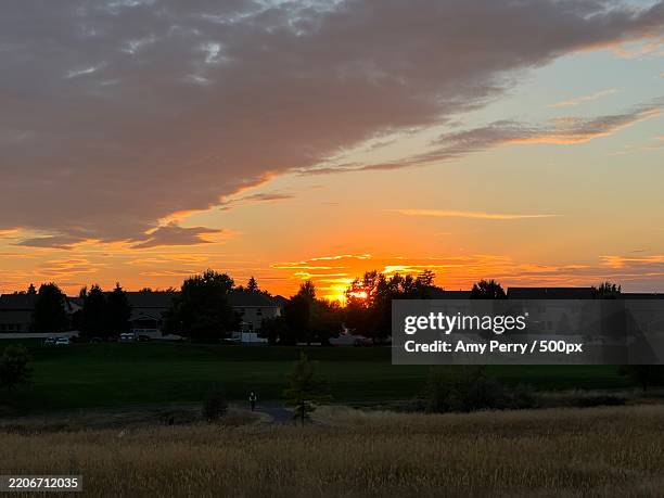 scenic view of field against orange sky,spokane,washington,united states,usa - amy lone stock pictures, royalty-free photos & images