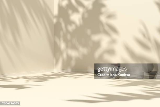 3d empty minimalistic beige interior with soft tropical leaf shadows on wall and floor. natural sunlight creates a calm, warm, and organic atmosphere, perfect for designs, nature-inspired concepts. - iluminación gobo fotografías e imágenes de stock