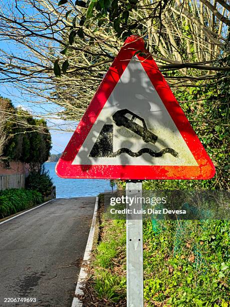 2,237 Tree Fallen On The Car Stock Photos, High-Res Pictures, and ...
