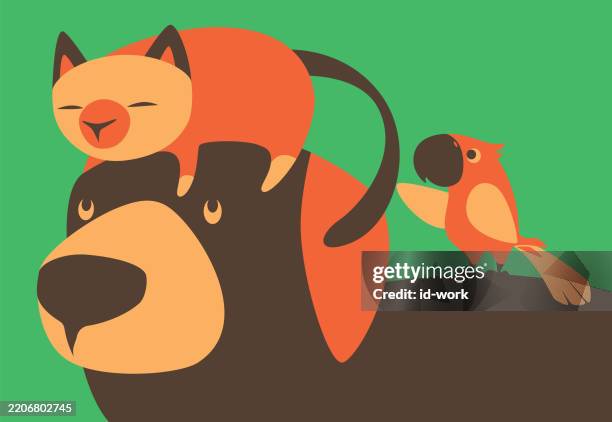 ilustrações, clipart, desenhos animados e ícones de cachorro gato papagaio - filhote de cachorro