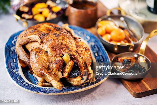 roast duck - duck meat stock pictures, royalty-free photos & images