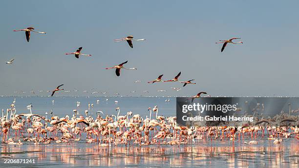 Lake Natron - Tanzania Safari Destination