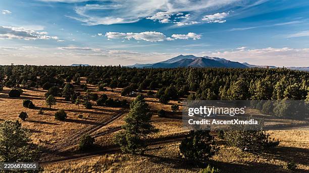 scenic view of grasslands, forest and mountain - flagstaff arizona stockfoto's en -beelden