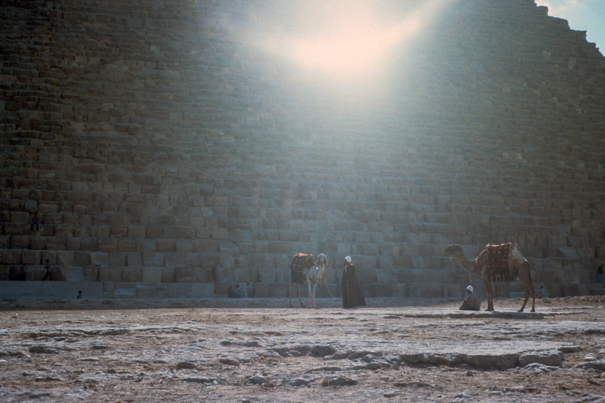 Giza tour guide
