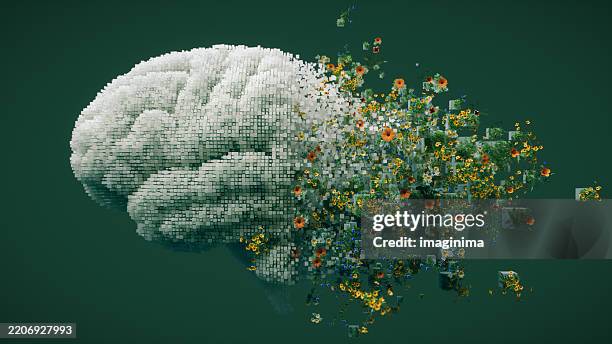 artificial intelligence evolving through nature - hjärna bildbanksfoton och bilder
