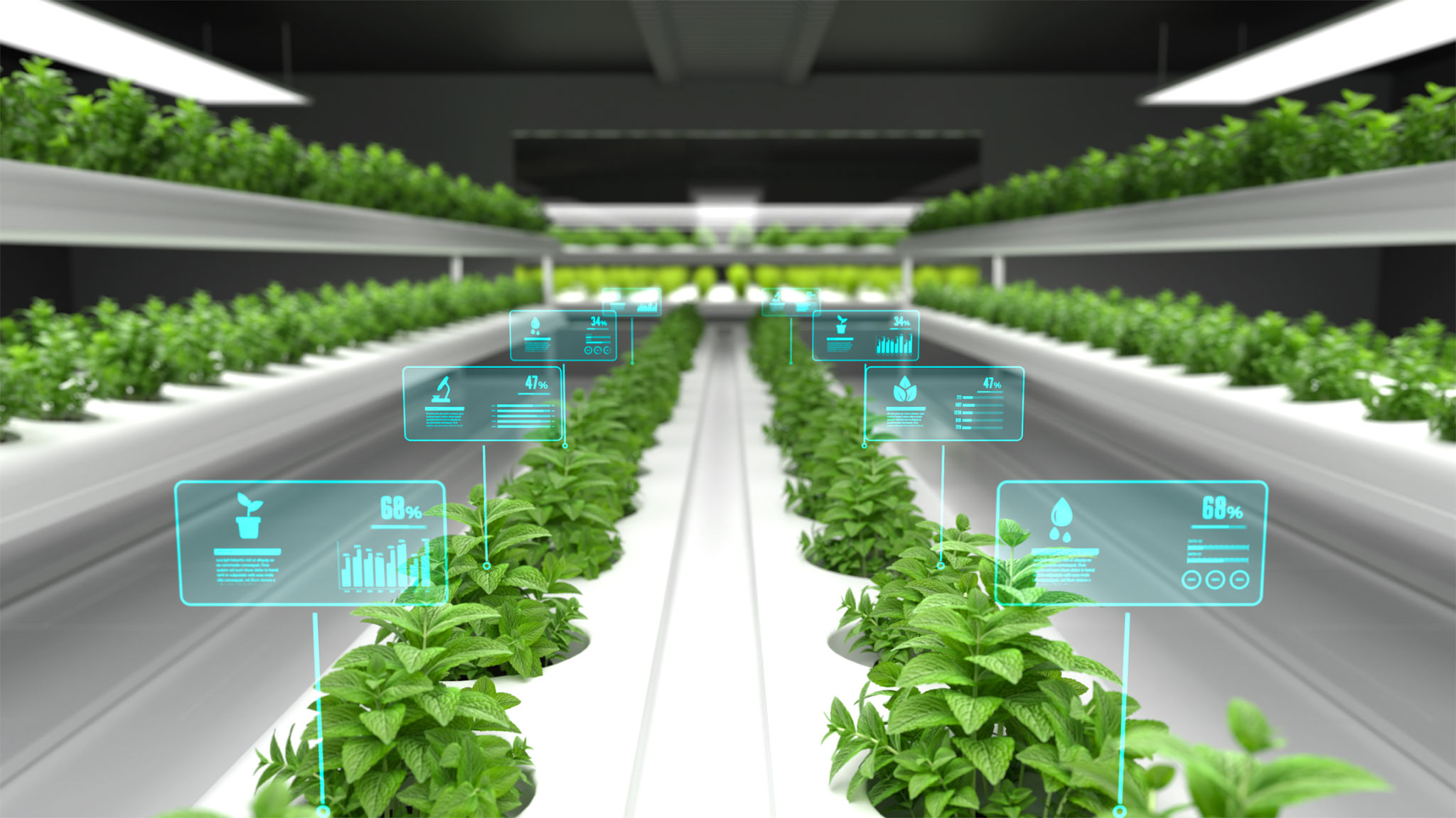 smart gardening