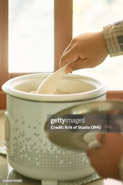Fresh Kitchen Rice 276 Rice Cooker Kitchen Stock Photos, High-Res Pictures, and Images ...