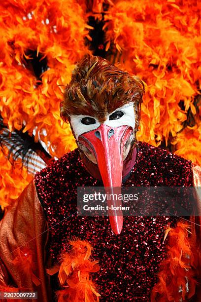 venice carnival 2025 - venetiaans-masker stockfoto's en -beelden