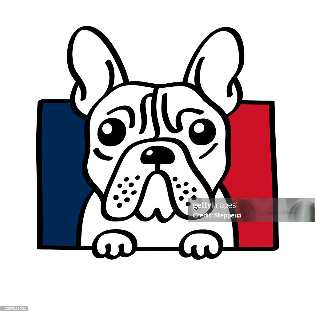 French Bulldog Posing with French Flag