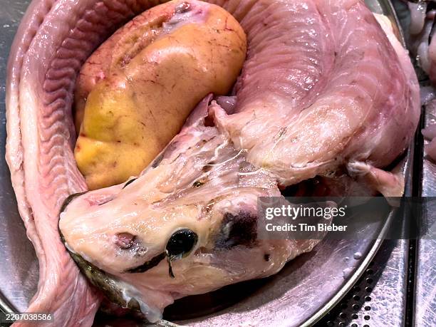 skinned fish at the market. - animal scale stock pictures, royalty-free photos & images
