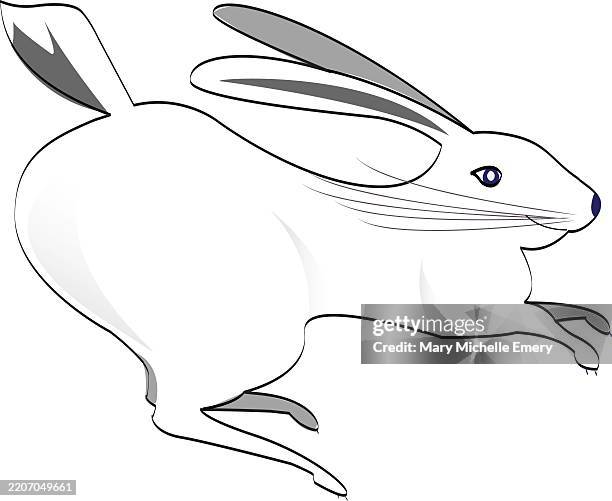 hare running - hare isolated stock illustrations