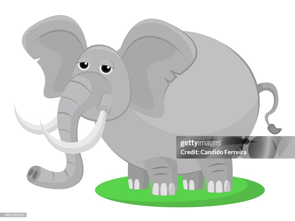 Elephant