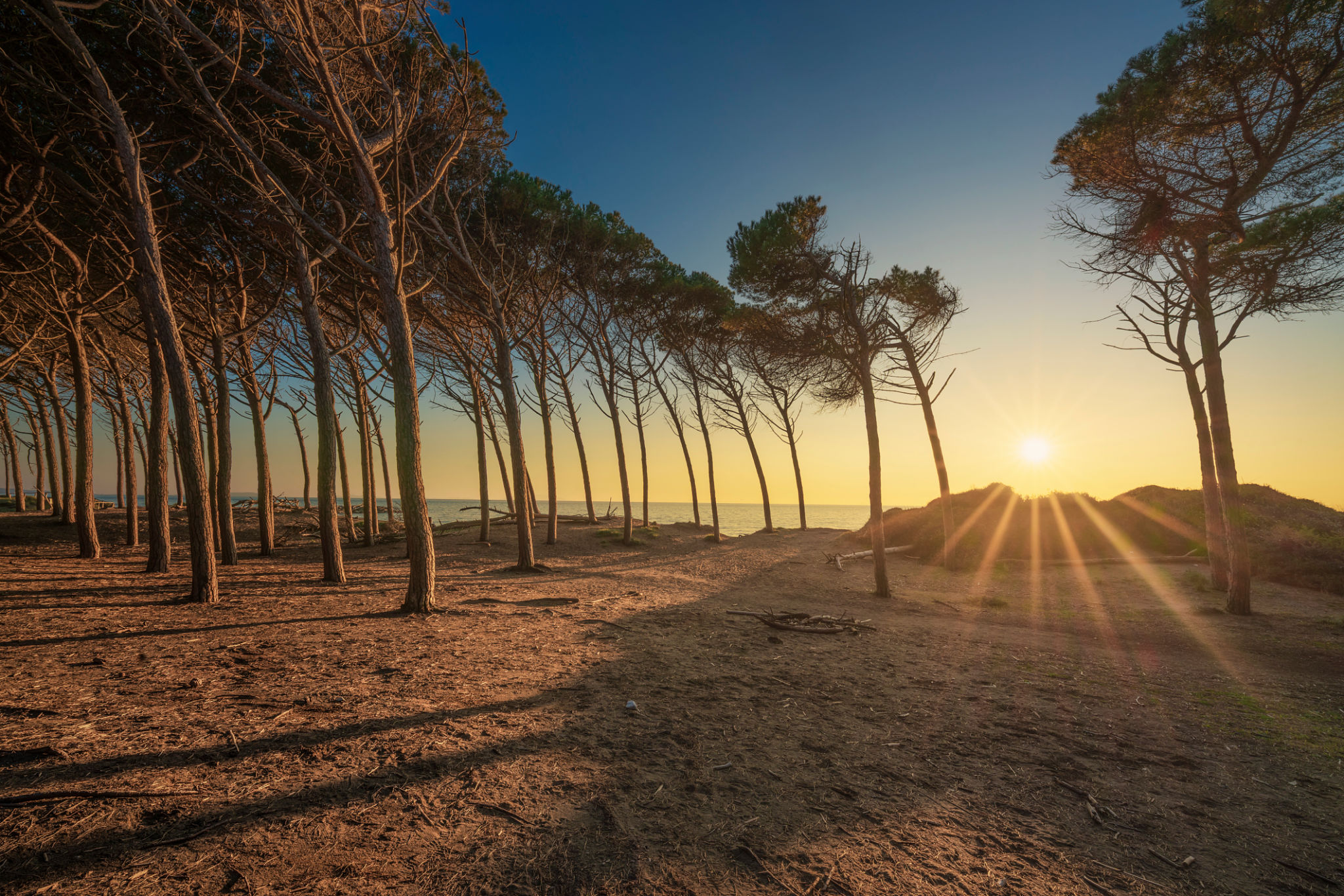 Maremma beaches