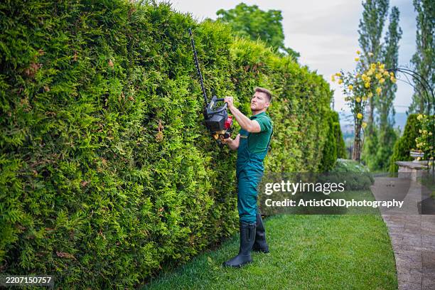 young landscaper maintaining the good condition of beautiful gardens. - hedge clippers stock pictures, royalty-free photos & images