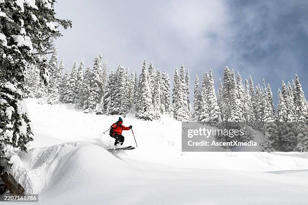 skier descends mountain in fresh powder snow - ski pole stock pictures, royalty-free photos & images