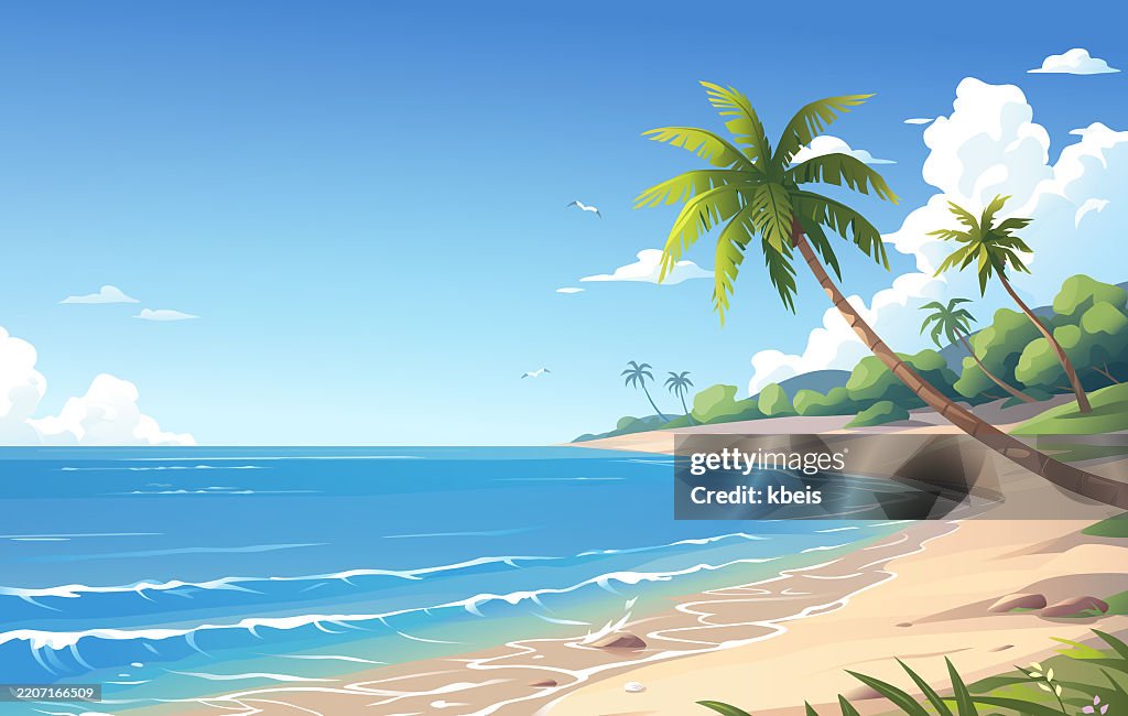 Tropical Beach With Palm Trees