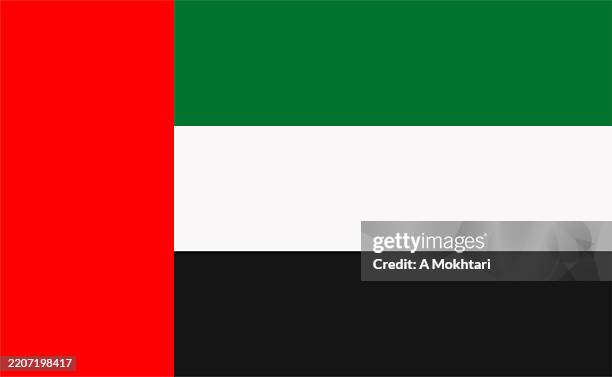 United Arab Emirates Flag Icon High-Res Vector Graphic