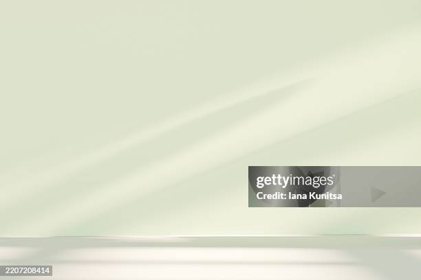 minimalist 3d background with soft natural light and shadows on pastel green wall. calm and organic scene, ideal for nature-inspired, wellness, or interior design concepts. place for text. copy space. - dappled light stock pictures, royalty-free photos & images
