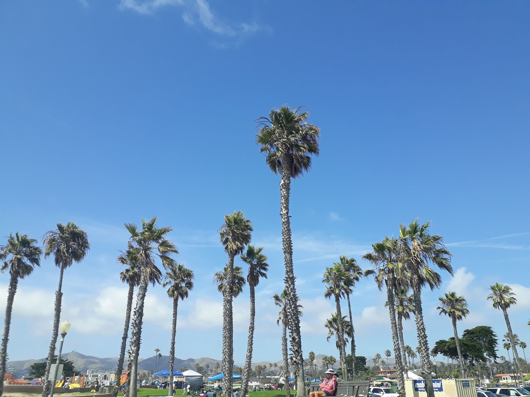 ventura climate