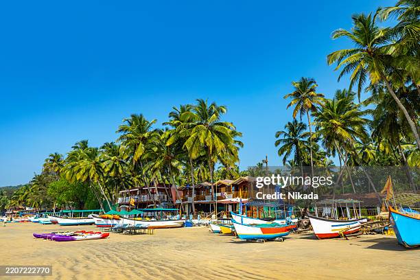 sunny beach scene in goa with colorful boats and palm trees - paisagem espetacular imagens e fotografias de stock