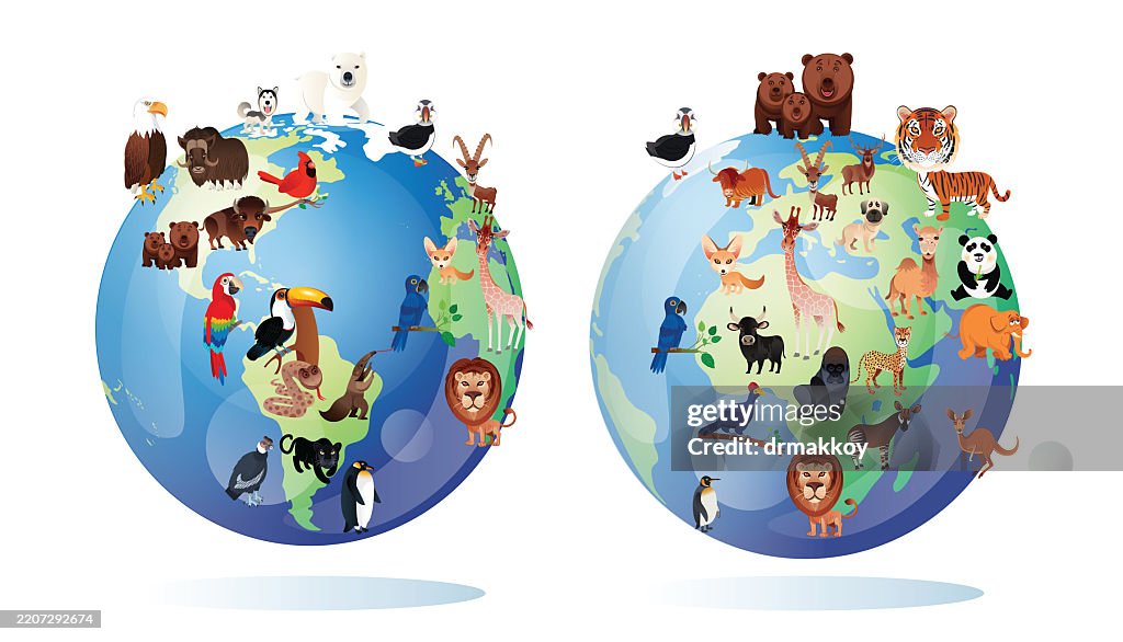 World Animals Map