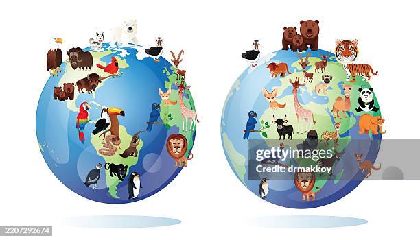 world animals map - scarlet macaw stock illustrations