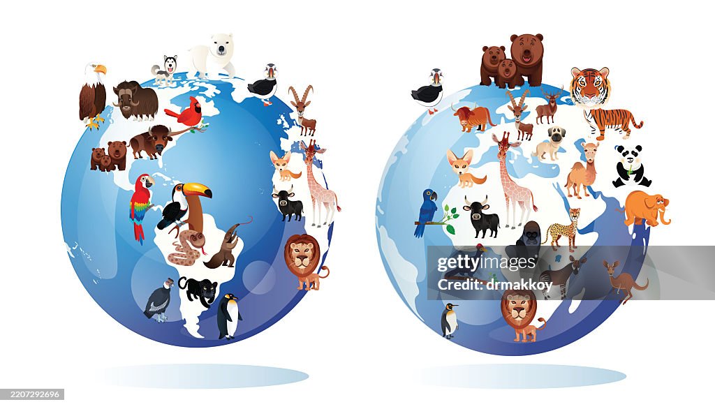 World Animals Map