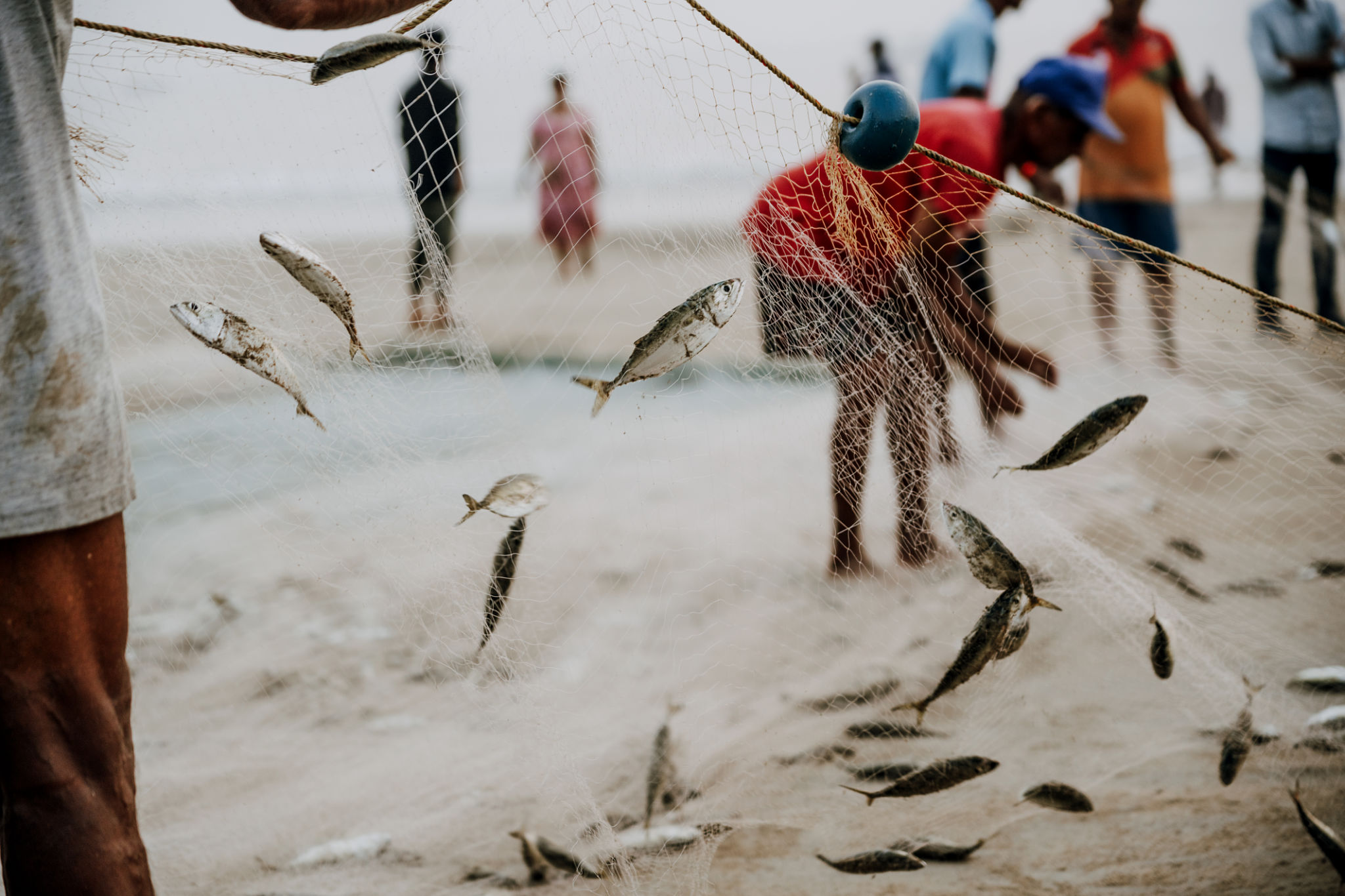local fishermen